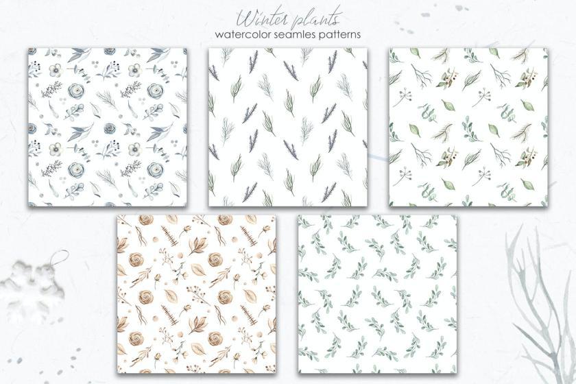 25xt-160436 Watercolorwinterplantsz11.jpg
