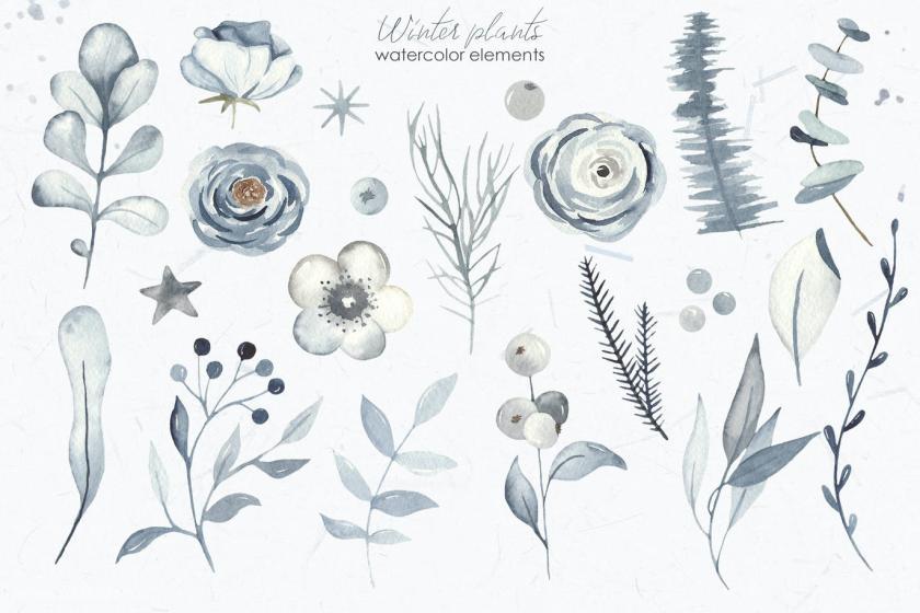 25xt-160436 Watercolorwinterplantsz3.jpg