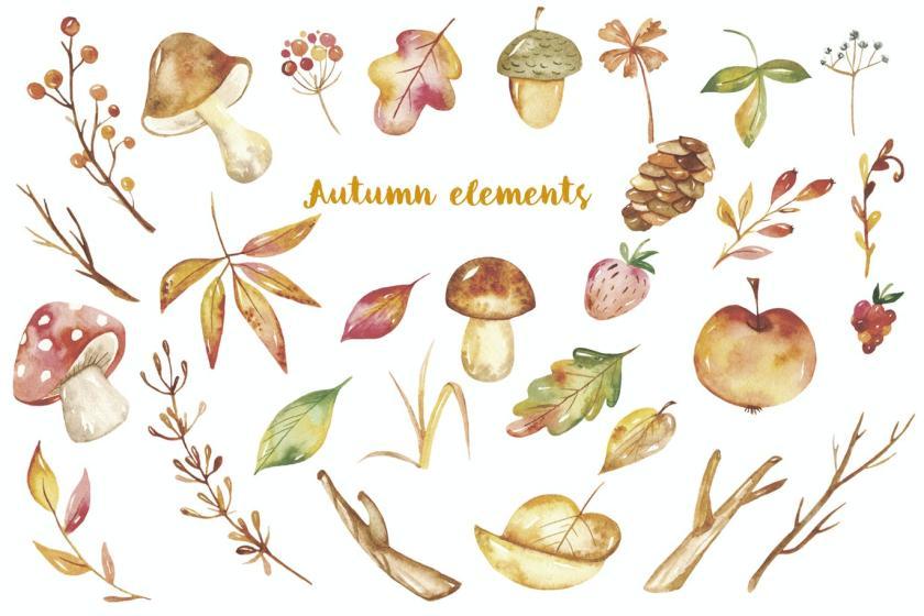 25xt-160437 WatercolorAutumncuteanimalsz5.jpg