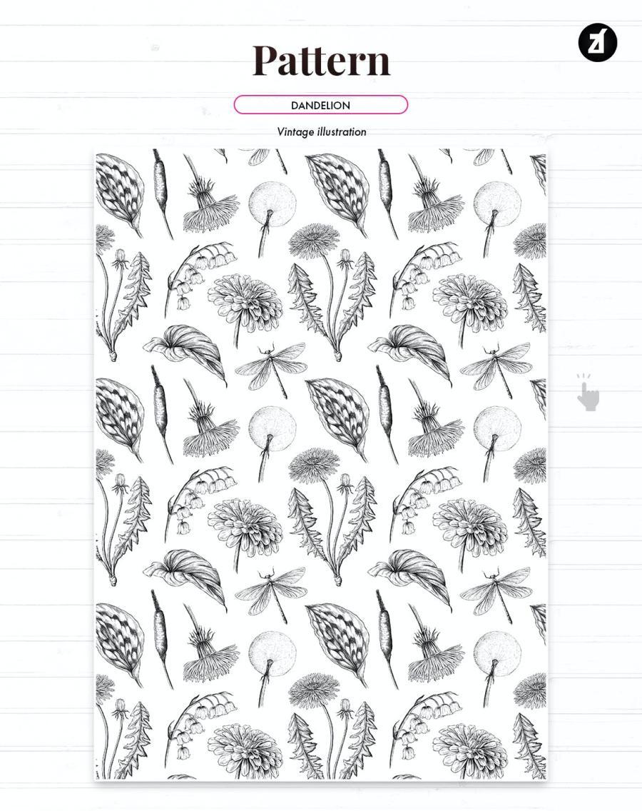 25xt-160668 Dandelion-vintage-illustration-and-patternz3.jpg
