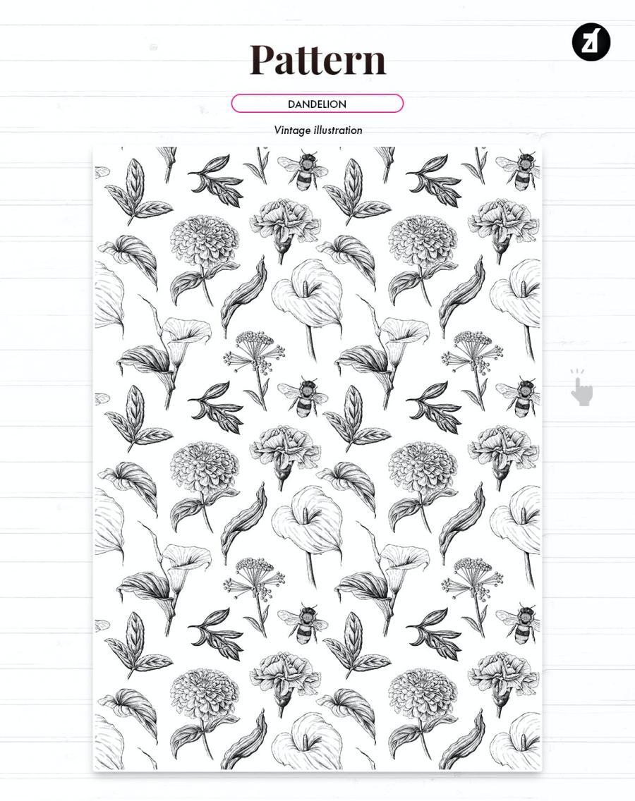 25xt-160668 Dandelion-vintage-illustration-and-patternz4.jpg