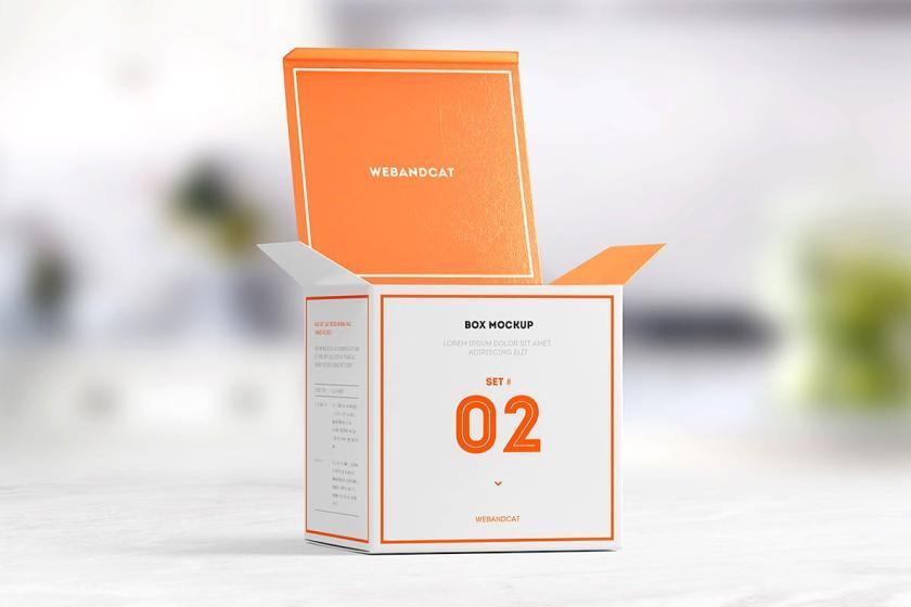 25xt-160766 PackageBoxMock-upSquareBoxz9.jpg