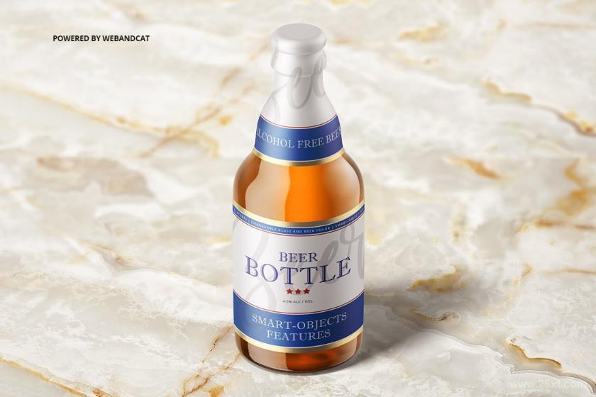 25xt-160773 SteinieBeerBottleMock-upz5.jpg