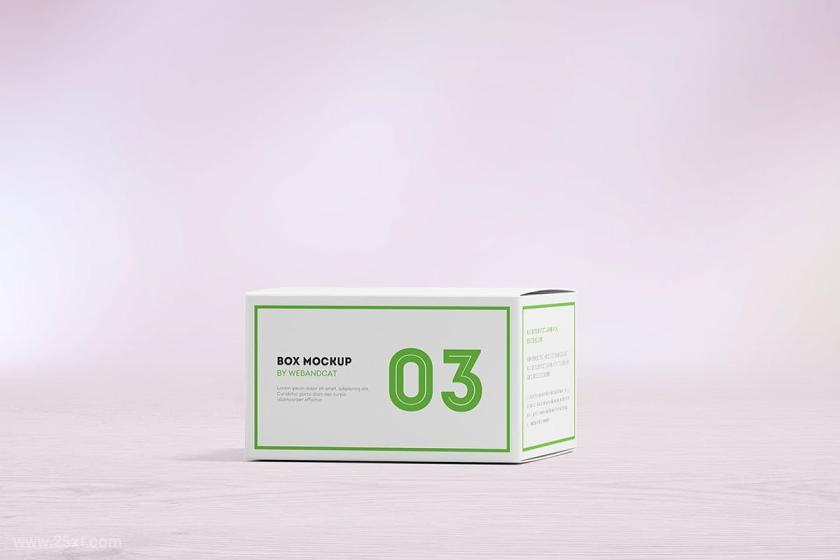 25xt-160775 PackageBoxMock-upFlatSquareBoxz9.jpg