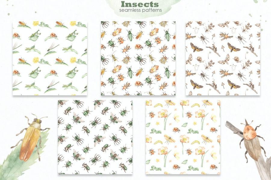 25xt-160830 Insects-watercolor-collectionz12.jpg