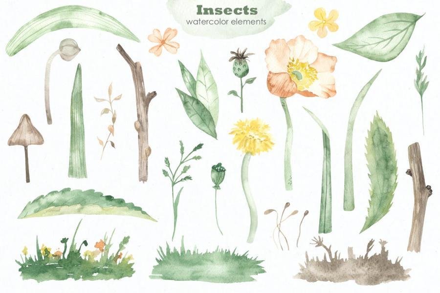 25xt-160830 Insects-watercolor-collectionz5.jpg