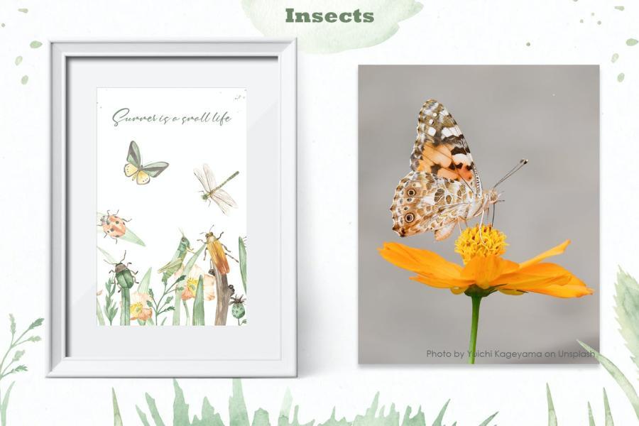 25xt-160830 Insects-watercolor-collectionz9.jpg