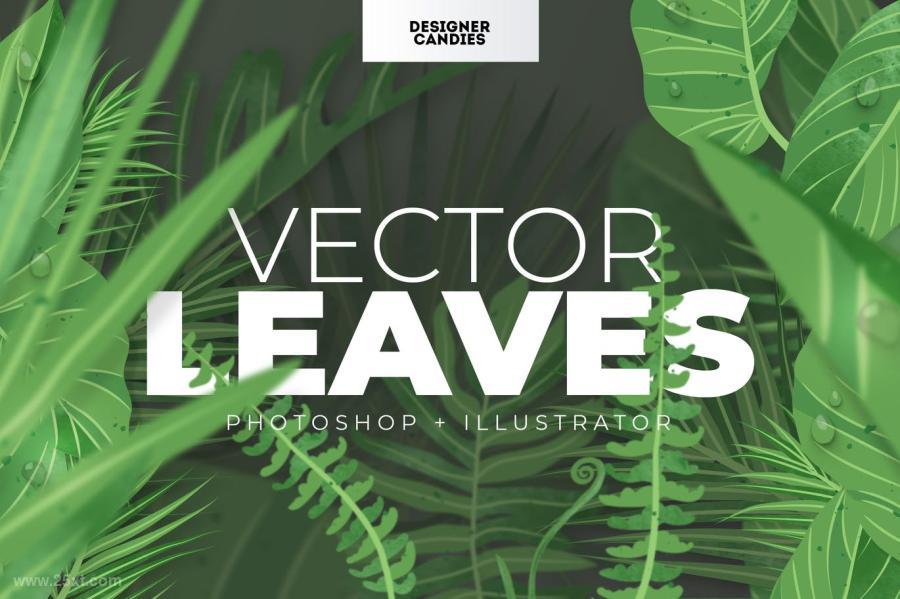 25xt-160839 Vector-Leaves-Leaf-Illustrationsz2.jpg