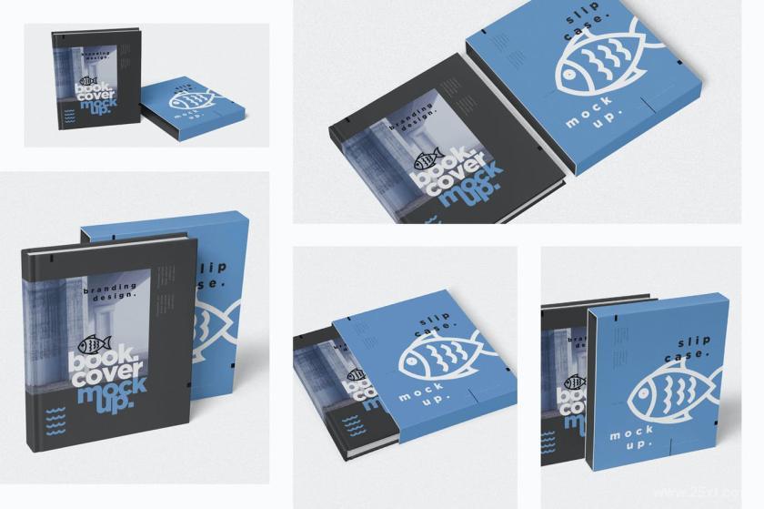 25xt-128349 BookCoverSlideCaseMockupsz3.jpg