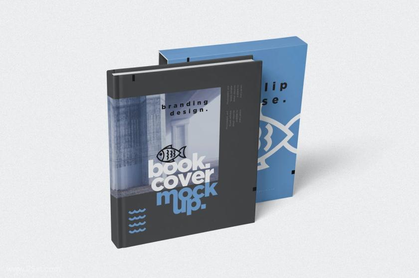25xt-128349 BookCoverSlideCaseMockupsz5.jpg