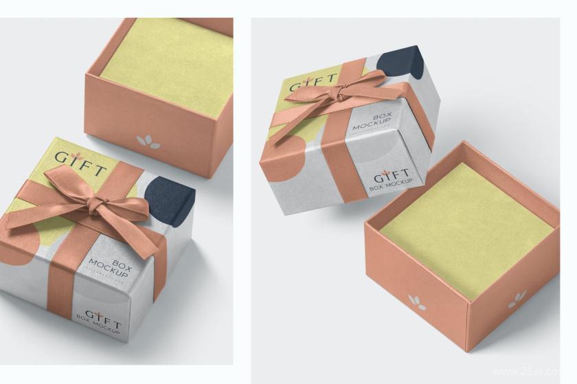 25xt-128370 GiftBoxMockupsz3.jpg