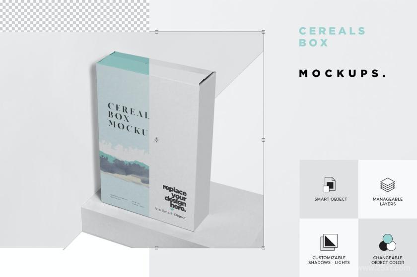 25xt-128385 CerealsBoxMockup-BigSizeinRectangularShapez8.jpg