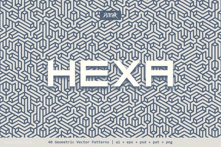 25xt-160936 HexaGeometricVectorPatternsz4.jpg