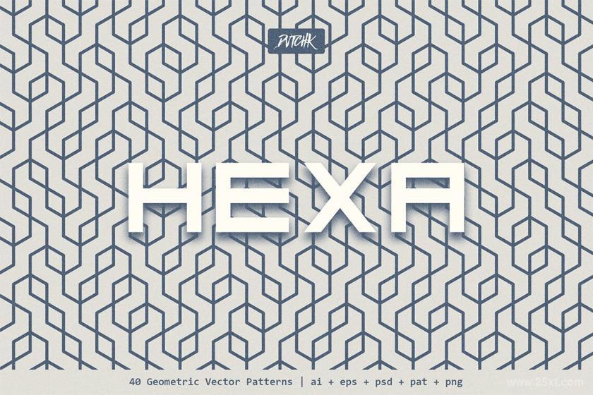 25xt-160936 HexaGeometricVectorPatternsz7.jpg