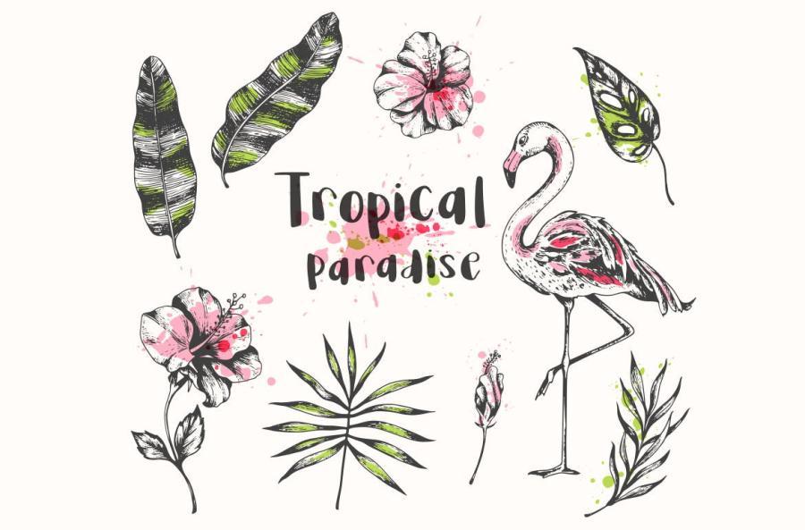 25xt-161047 Vintage-Tropical-Design-Kitz4.jpg