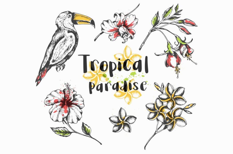 25xt-161047 Vintage-Tropical-Design-Kitz5.jpg