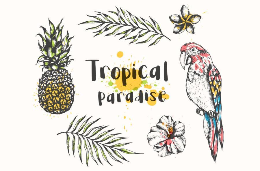 25xt-161047 Vintage-Tropical-Design-Kitz6.jpg