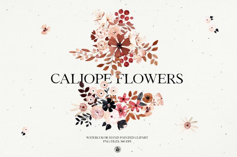 25xt-161051 Caliope-Flowers---watercolor-clipart-setz2.jpg