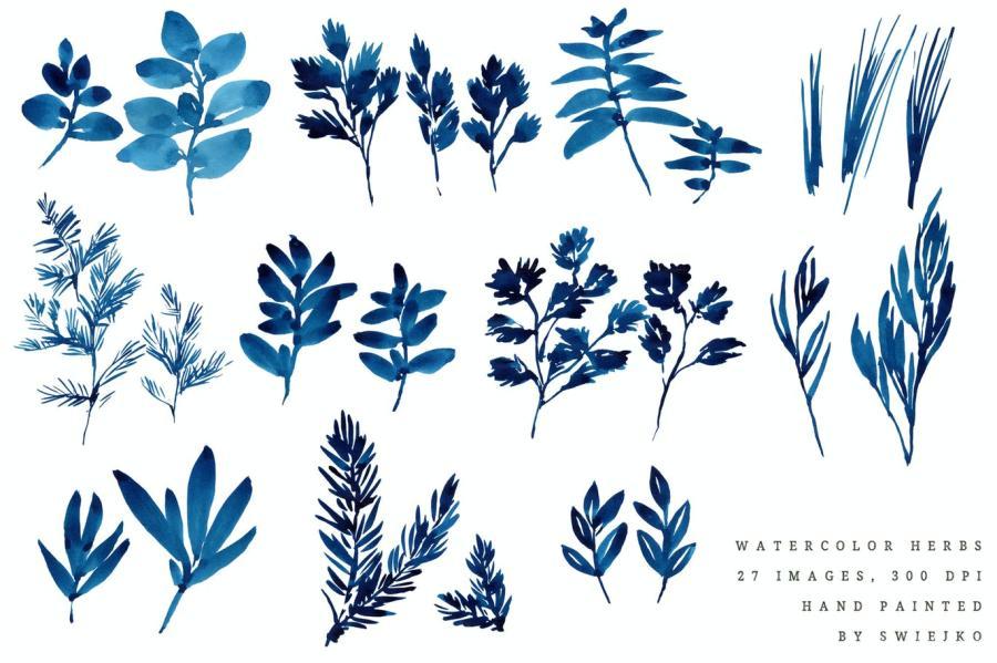 25xt-170470 Watercolor-herbs-indigo-inkz3.jpg