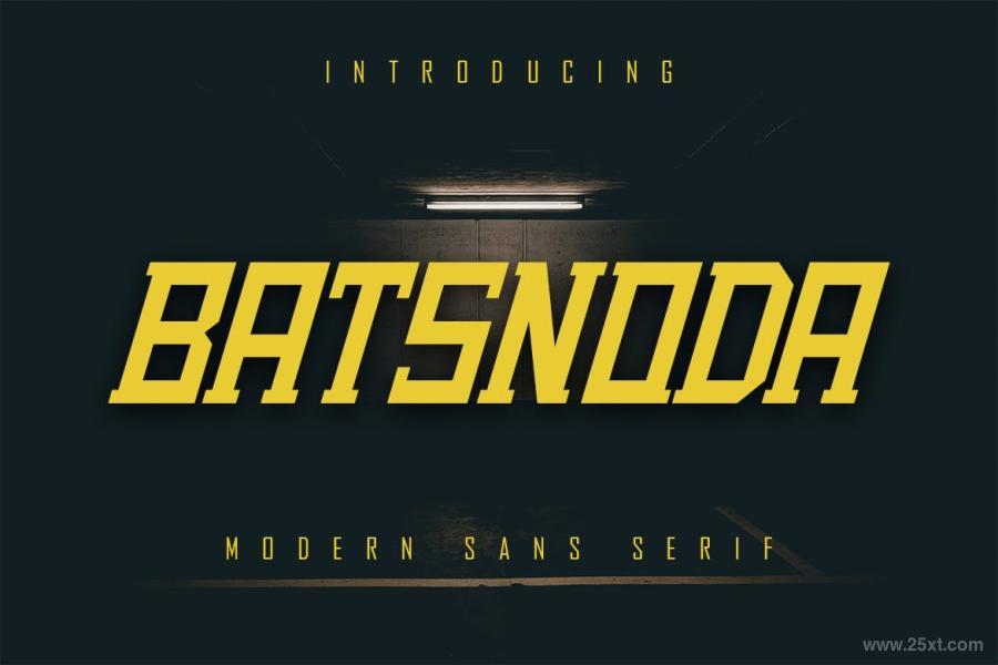 25xt-161073 Batsnoda---Modern-Sans-Serifz3.jpg