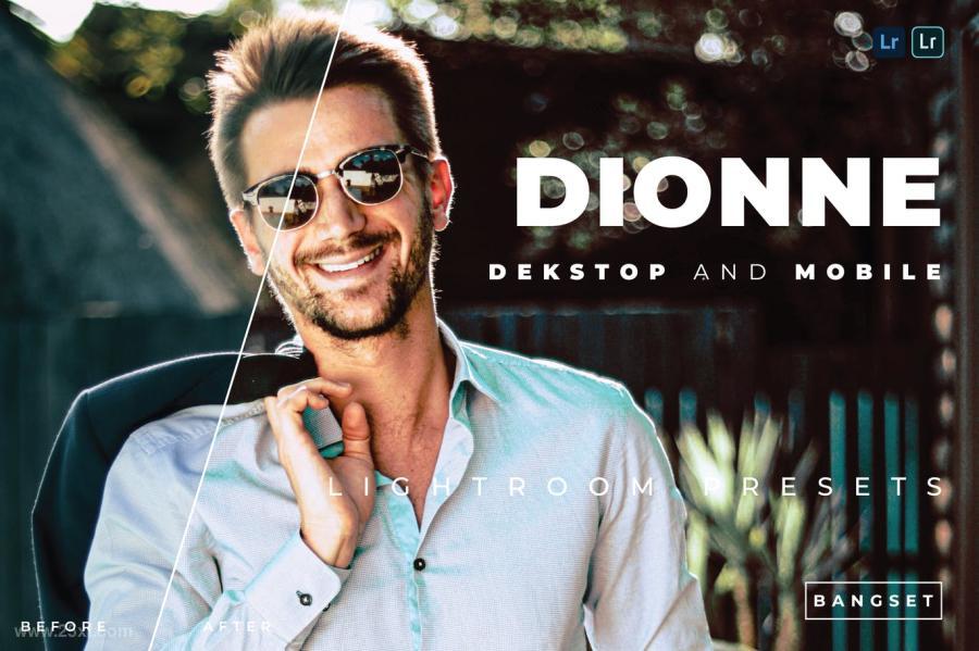 25xt-170536 Dionne-Desktop-and-Mobile-Lightroom-Presetz2.jpg