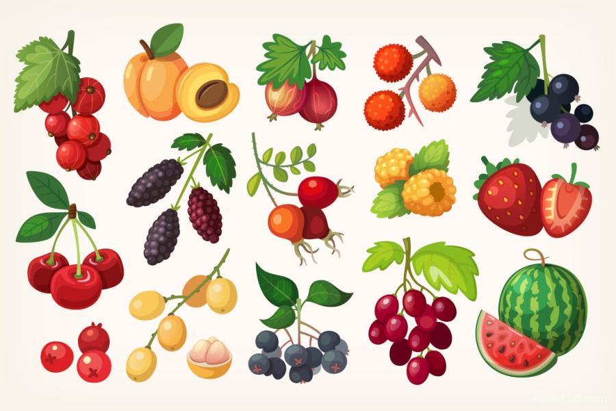 25xt-170572 Fruit-and-Berriesz3.jpg