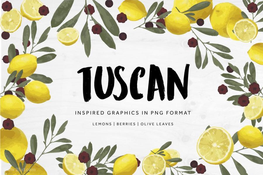 25xt-170575 Tuscan-Inspired-Graphicsz2.jpg