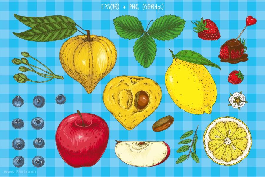 25xt-170576 Delicioious-Handdrawn-Fruit-Kitz6.jpg