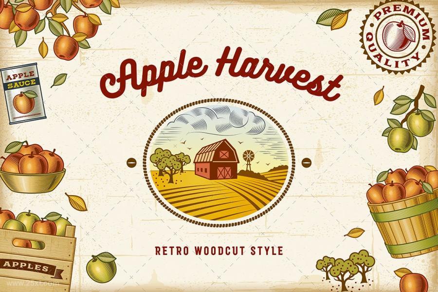 25xt-170578 Vintage-Colorful-Apple-Harvest-Setz2.jpg