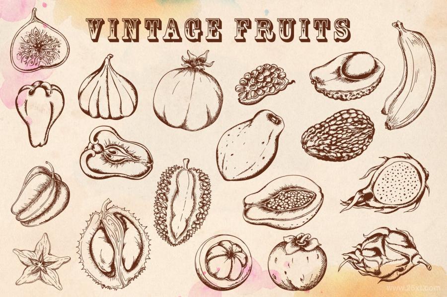 25xt-170584 Vintage-Tropical-Fruitsz2.jpg