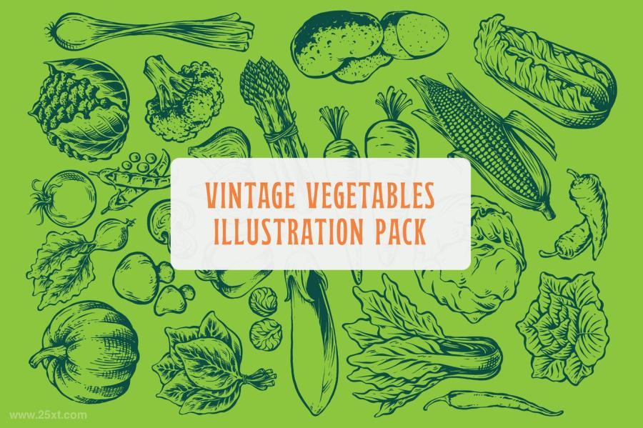 25xt-170586 Vintage-Vegetables-Illustration-Packz2.jpg