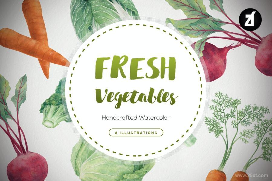 25xt-170594 Fresh-vegetables-handdraw-watercolor-illustrationsz2.jpg