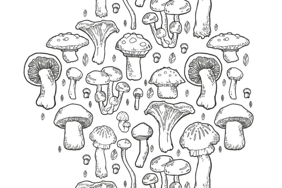 25xt-170599 Mushroom-handdrawn-patternz5.jpg