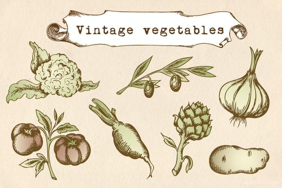 25xt-170604 Vintage-Vegetables-Setz2.jpg
