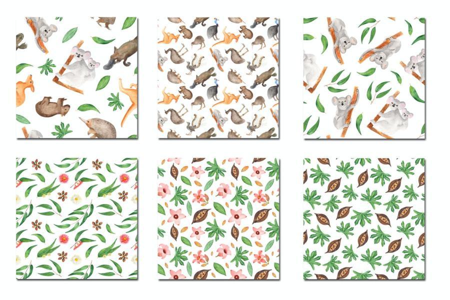 25xt-161165 Watercolor-Australian-animals-and-plantsz6.jpg