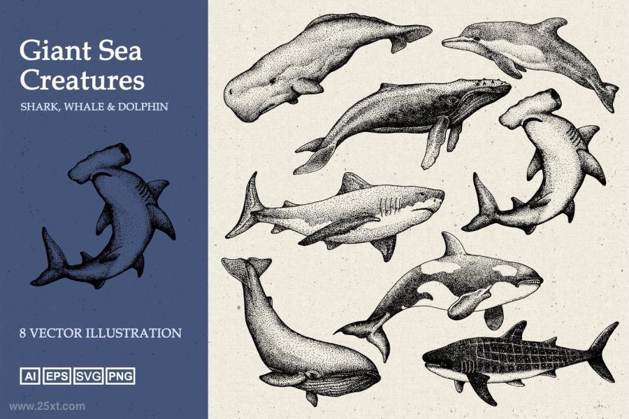 25xt-161173 Giant-Sea-Animal-Hand-Drawn-Illustrationz2.jpg