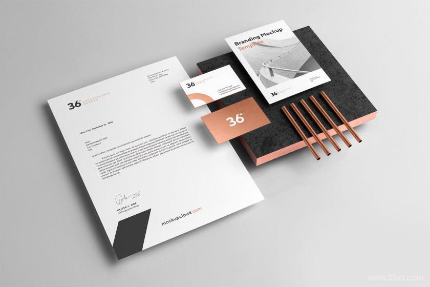 25xt-160577 CopperstoneBrandingMockupVol1z5.jpg