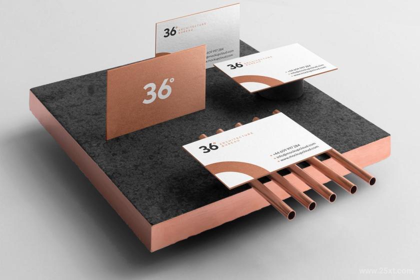 25xt-160577 CopperstoneBrandingMockupVol1z8.jpg