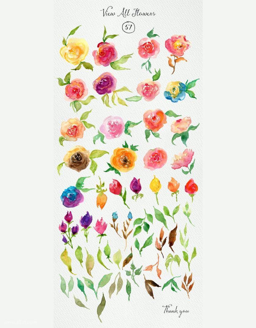 25xt-170004 WatercolorRosesz3.jpg