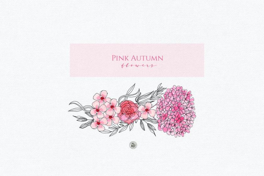 25xt-170019 PinkAutumnFlowersz8.jpg