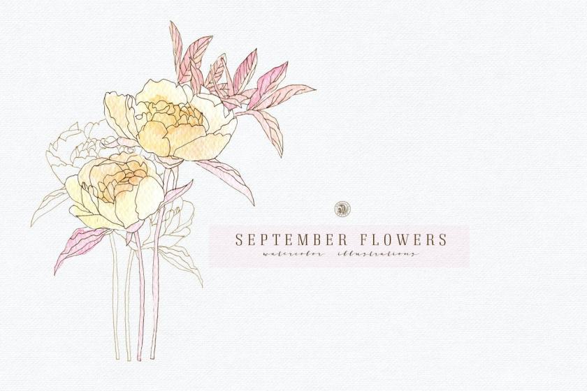 25xt-170020 SeptemberFlowersvol2z3.jpg