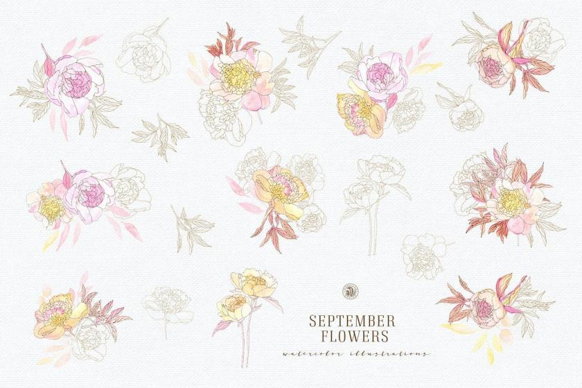 25xt-170020 SeptemberFlowersvol2z7.jpg