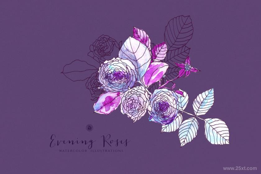 25xt-170021 EveningRosesz4.jpg
