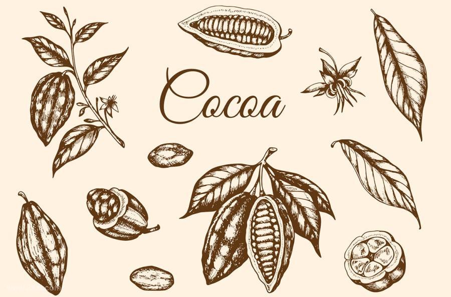 25xt-5050439 Vintage-Vector-Cocoa-Setz3.jpg