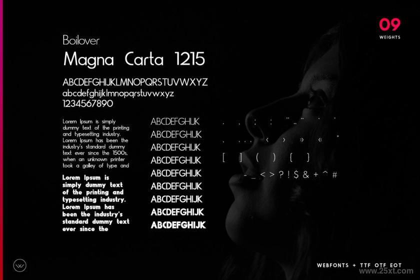 25xt-160627 BoiloverUniqueMinimalTypefacez9.jpg