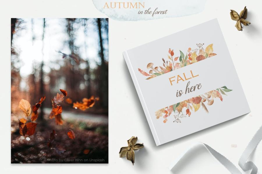 25xt-161475 Autumn-in-the-forest-Watercolor-collectionz10.jpg
