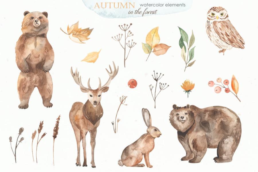 25xt-161475 Autumn-in-the-forest-Watercolor-collectionz4.jpg