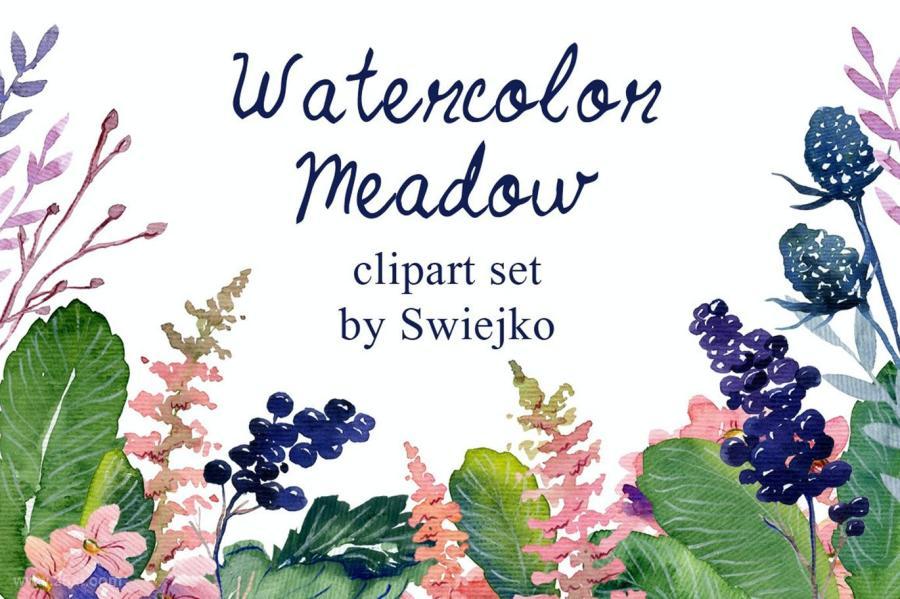 25xt-161480 Watercolor-meadow-flowersz2.jpg