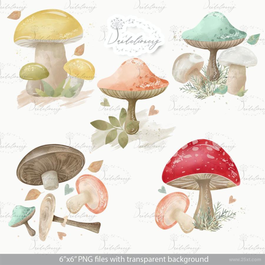 25xt-161481 Mushrooms-designz3.jpg