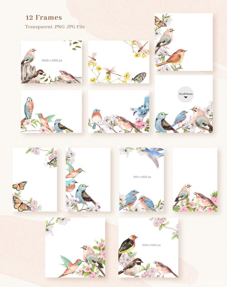 25xt-161506 Spring-Birds-of-Spring-Watercolorz11.jpg